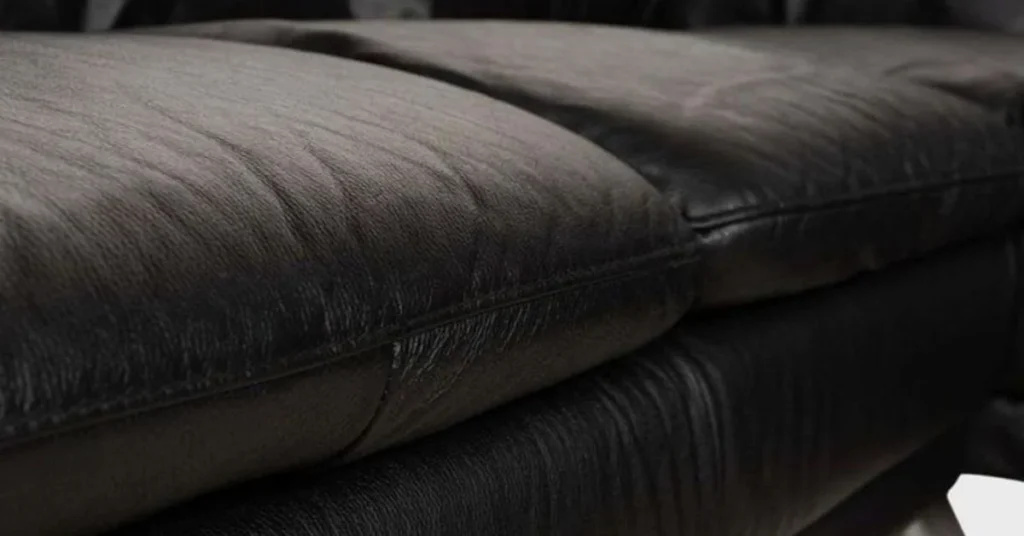 How to Clean Condition Natuzzi Leather